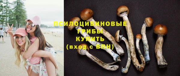 дурь Нефтегорск