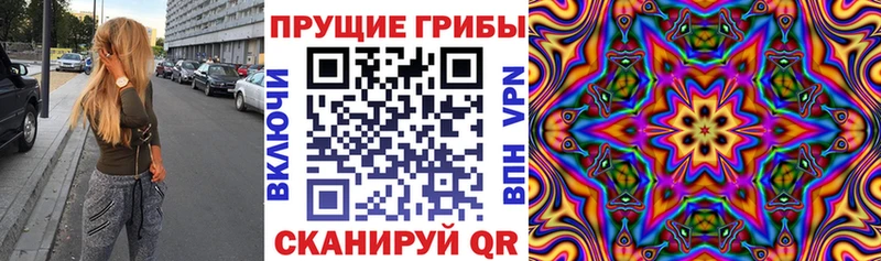 Псилоцибиновые грибы Psilocybine cubensis  Колпашево 